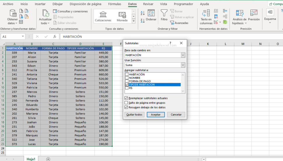 Cómo Agrupar Datos en Excel Esquema Ninja del Excel