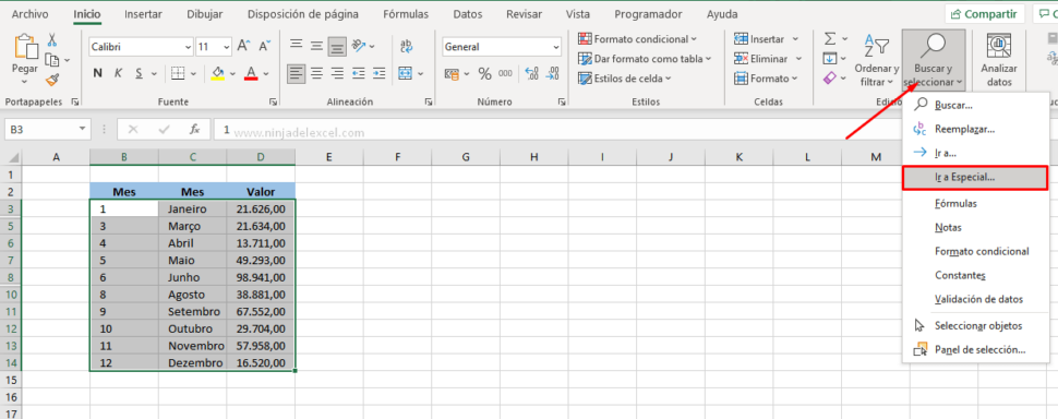 C Mo Pegar Solo Celdas Visibles En Excel Ninja Del Excel