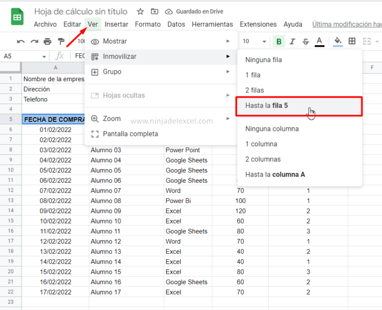 C Mo Inmovilizar Filas En Google Sheets Ninja Del Excel