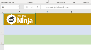 Cómo Insertar colores predefinidos de Excel Ninja del Excel