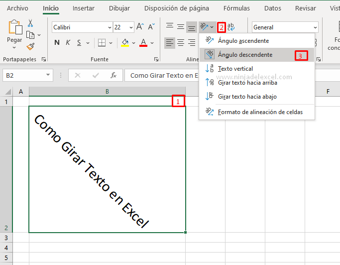 Buscar Como Rotar el Texto en Excel