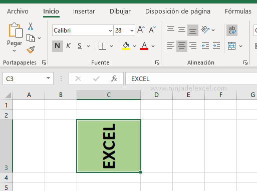 Cómo Rotar Texto en Excel paso a paso