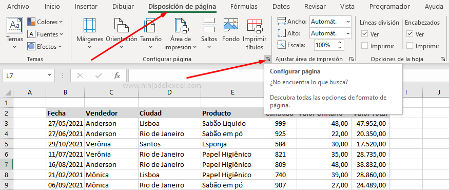 Insertar Numeración en Páginas de Excel