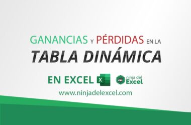 Pérdidas y Ganancias en Excel – En Tabla Dinámica