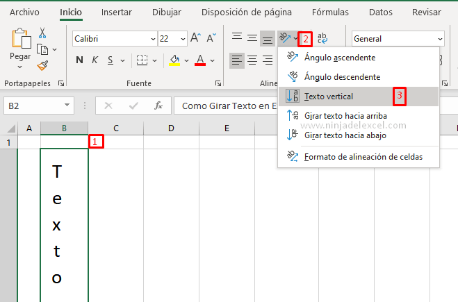 Sepa Como Rotar el Texto en Excel