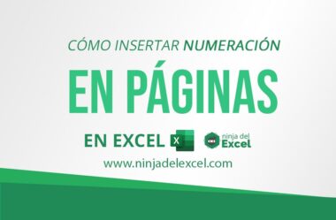 Cómo Insertar Numeración en Páginas de Excel