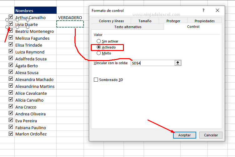 tutoriales de como hacer una Casilla de Verificación en Excel