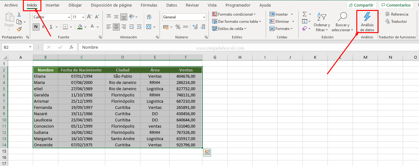 Botón Analizar Datos en Excel