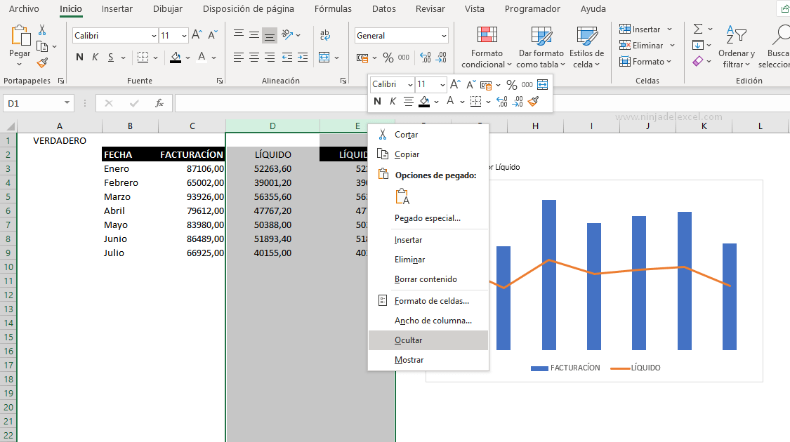 Casilla de Verificación en Excel, en Ninja del Excel