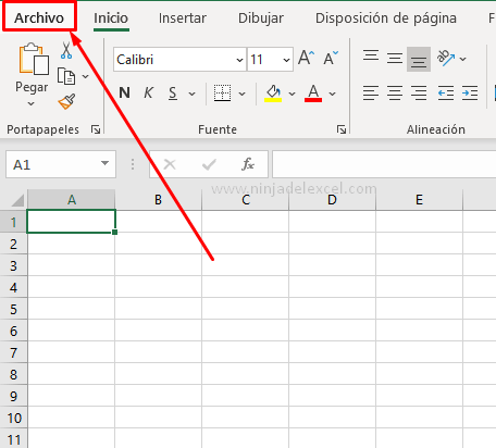 Contraseña en Archivos de Excel