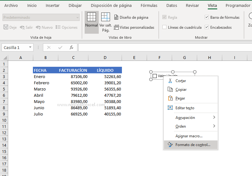Ver Casilla de Verificación en Excel control de formato