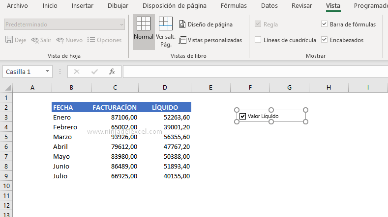 Ver Casilla de Verificación en Excel