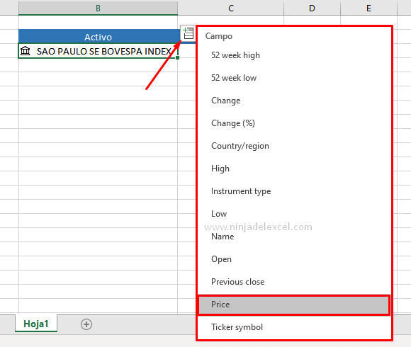 Como Buscar el Valor de Ibovespa en Excel