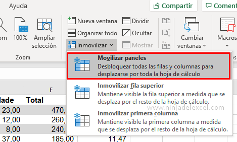Como Inmovilizar Columna solo en Excel tutorial
