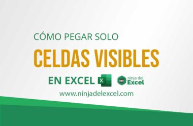 Cómo Pegar Solo Celdas Visibles en Excel