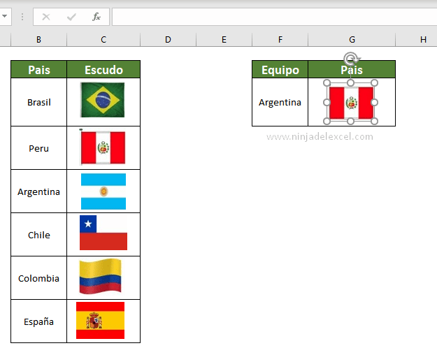ÍNDICE & COINCIDIR con Imagen en Excel paso a paso