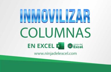 Aprenda a Inmovilizar Columnas en Excel