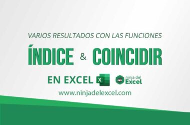 Obtener Varios Resultados con las Funciones INDICE y COINCIDIR en Excel