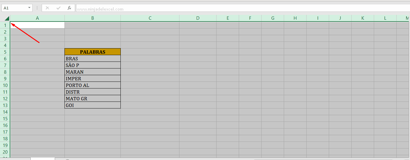 Cómo Seleccionar Todo en Excel