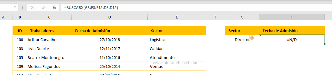 Función BUSCARX con Caracteres Comodín en Excel paso a paso