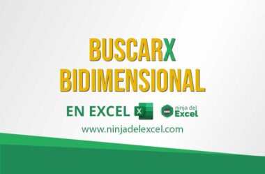 Función BUSCARX Bidimensional en Excel