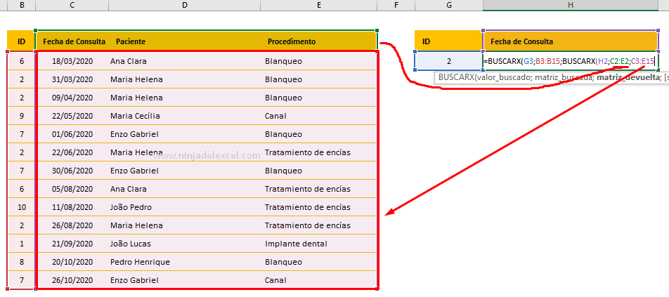 Función BUSCARX Bidimensional en Excel en la practica