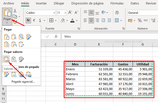 Ninja del Excel tutorial