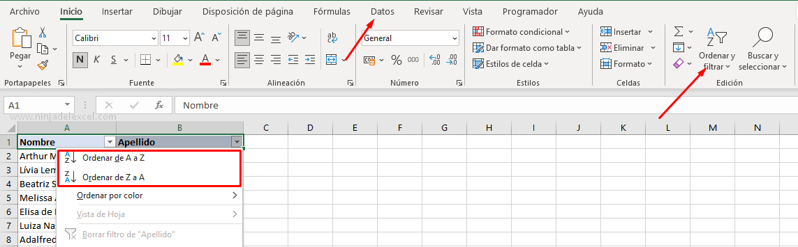 sepa como Ordenar por Apellido en Excel