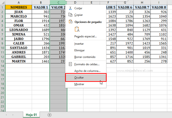 Aprende Como Mostrar Columnas y Filas en Excel