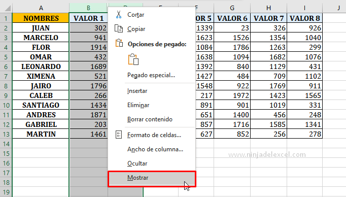 Aprendiendo Como Mostrar Columnas y Filas en Excel
