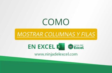 Como Mostrar Columnas y Filas en Excel (Mostrar)