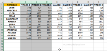 Como Mostrar Columnas Y Filas En Excel (Mostrar) - Ninja Del Excel