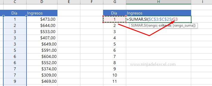 Buscar Como usar la función DIA en Excel