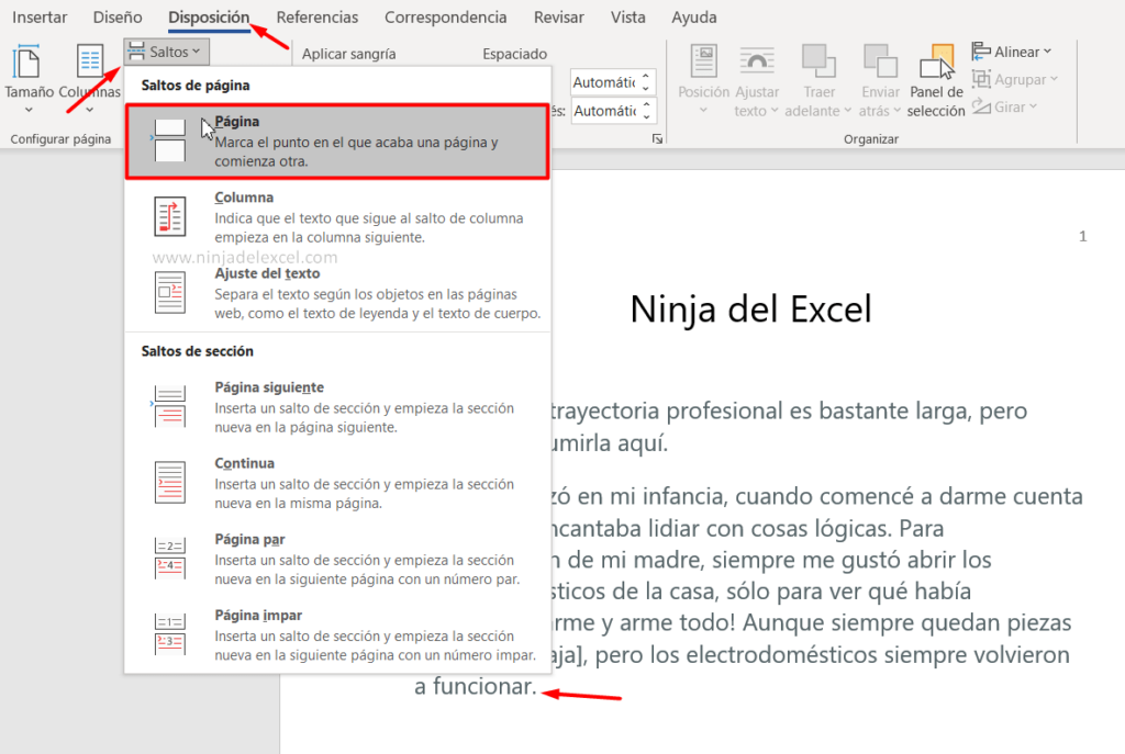 Como Numerar Páginas En Word Numeración Y Salto De Páginas Ninja