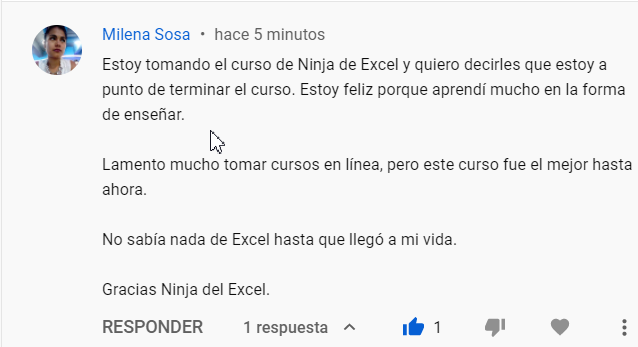 Ninja del excel recomendacion