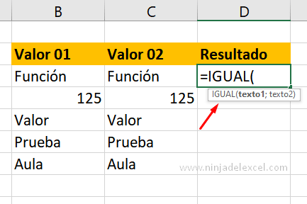 Función IGUAL en Excel