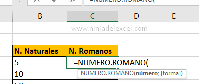Función NUMERO.ROMANO en Excel