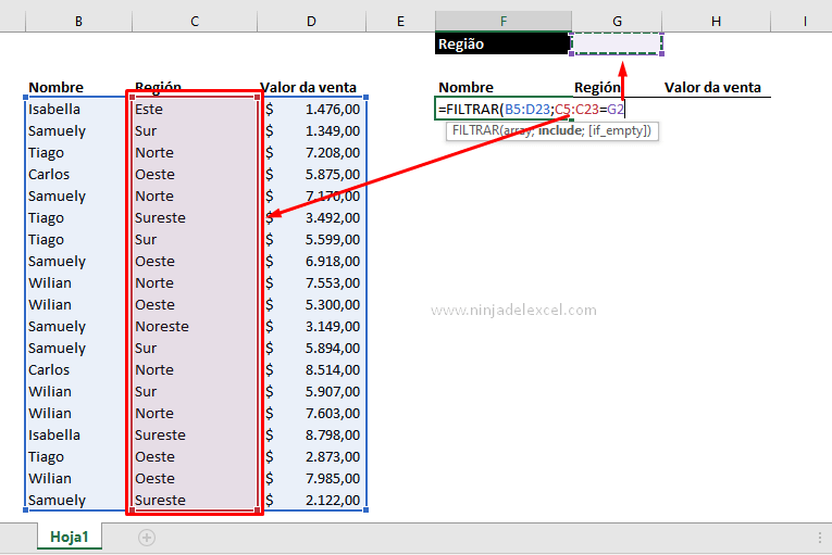 Función Filtrar en Excel Paso a paso Ninja del Excel