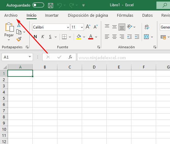 Programador en Excel