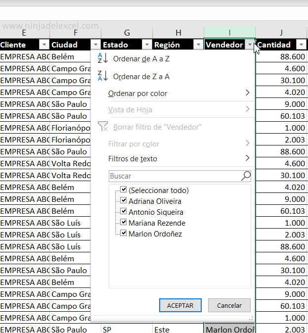 Segmentación de Datos en Excel