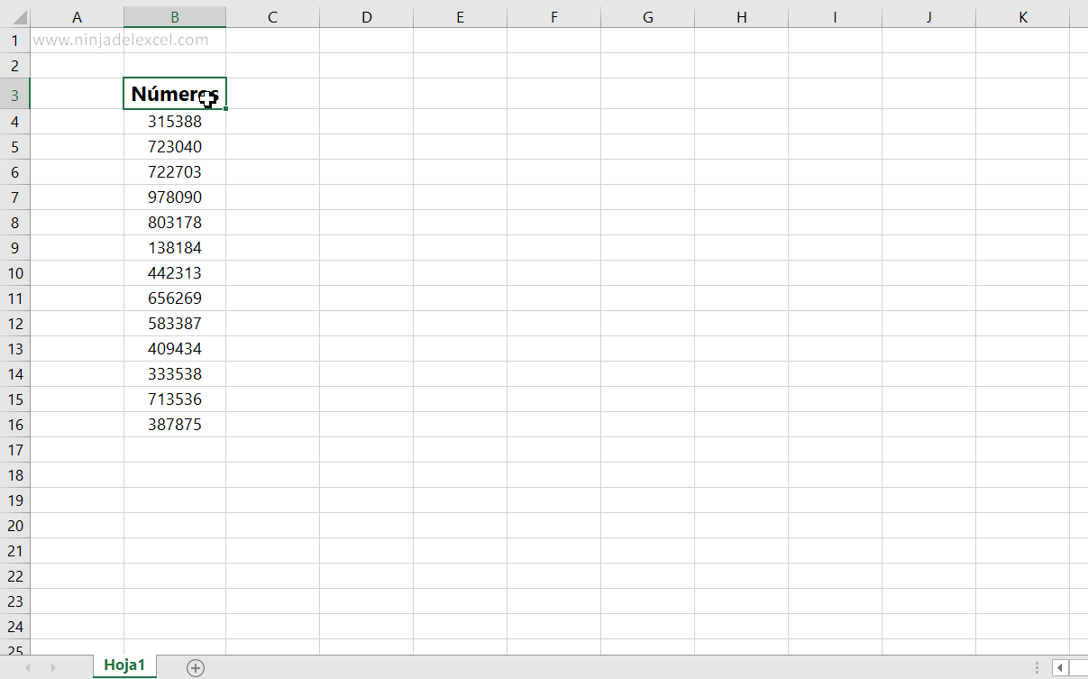 Insertar Cero a la Izquierda en Excel
