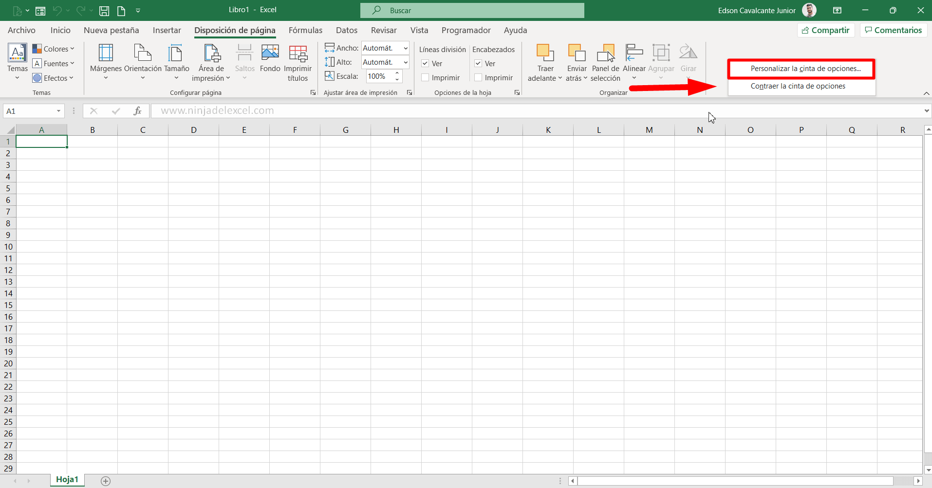 Menú Personalizado en Excel