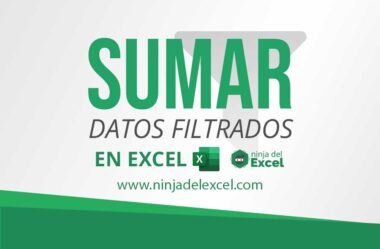 Sumar Datos Filtrados en Excel – Función de SUBTOTALES