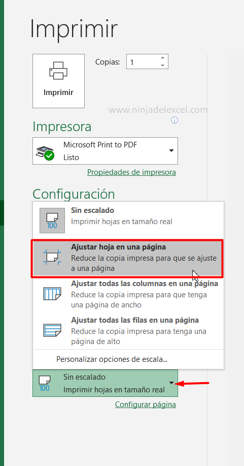 Aprenda Ajustar la Impresión en Excel