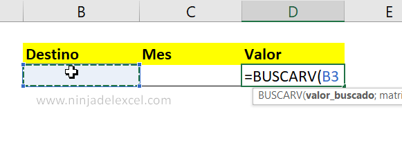 BUSCARV con COINCIDIR en Excel paso a paso