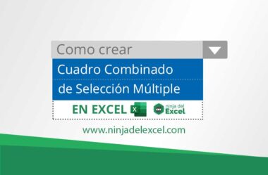 Cuadro Combinado de Selección Múltiple en Excel