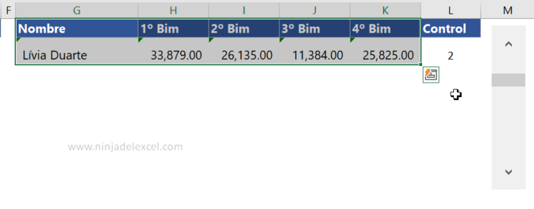 Gráfico De Barra De Desplazamiento En Excel Ninja Del Excel 9288