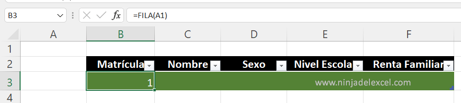 Como Generar Matrícula Automático en Excel