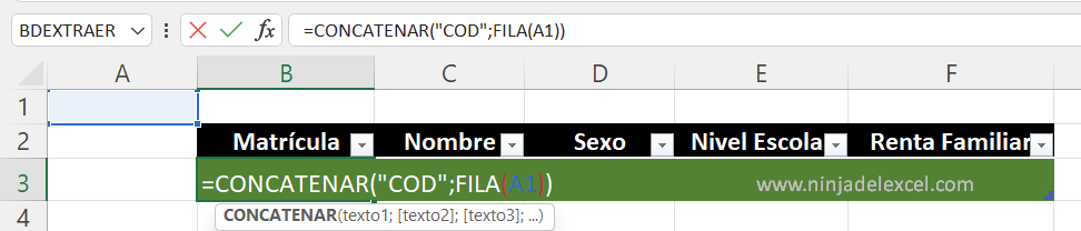 Generar Matrícula Automático en Excel en la practica