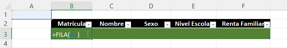 Generar Matrícula Automático en Excel paso a paso